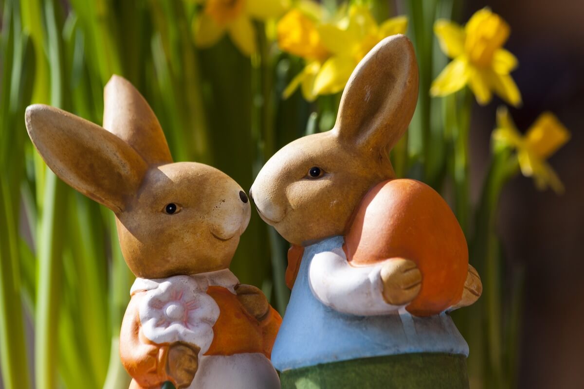 bookingkit-Ostern-Marketing-Tipps-Hase